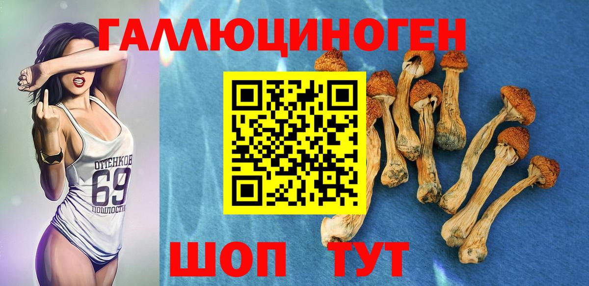 Галлюциногенные грибы Magic Shrooms Воскресенск