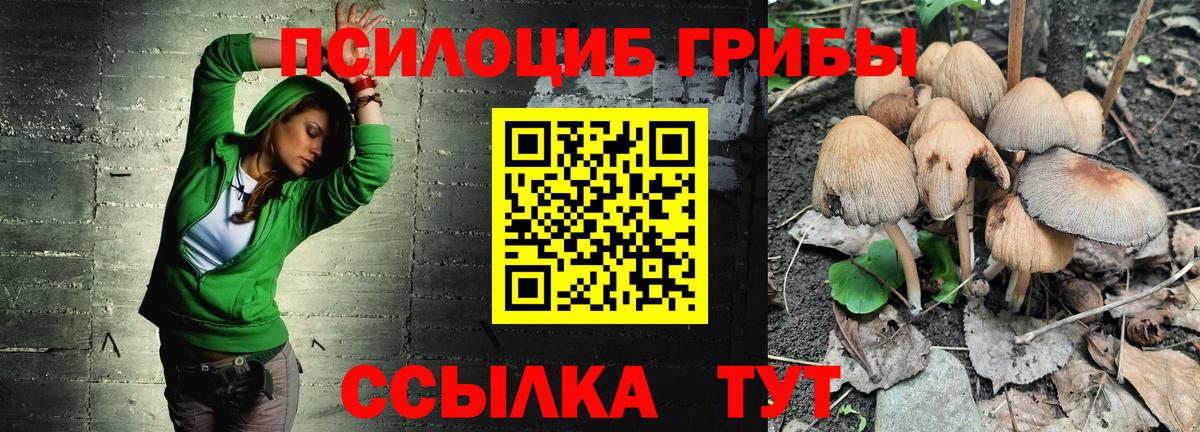 Галлюциногенные грибы Magic Shrooms  Вход с VPN  Галлюциногенные грибы Psilocybine cubensis  Воскресенск 